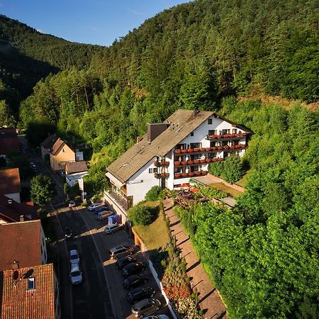 Hotel Die Kleine Blume Erfweiler المظهر الخارجي الصورة