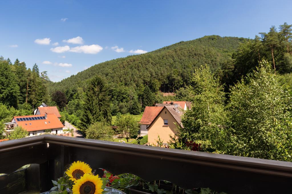 Hotel Die Kleine Blume Erfweiler المظهر الخارجي الصورة