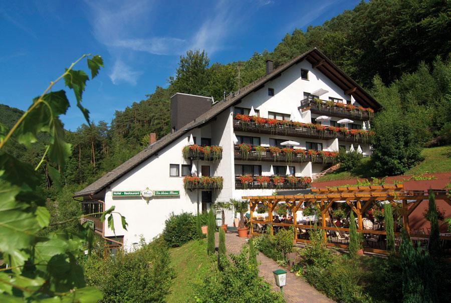 Hotel Die Kleine Blume Erfweiler المظهر الخارجي الصورة